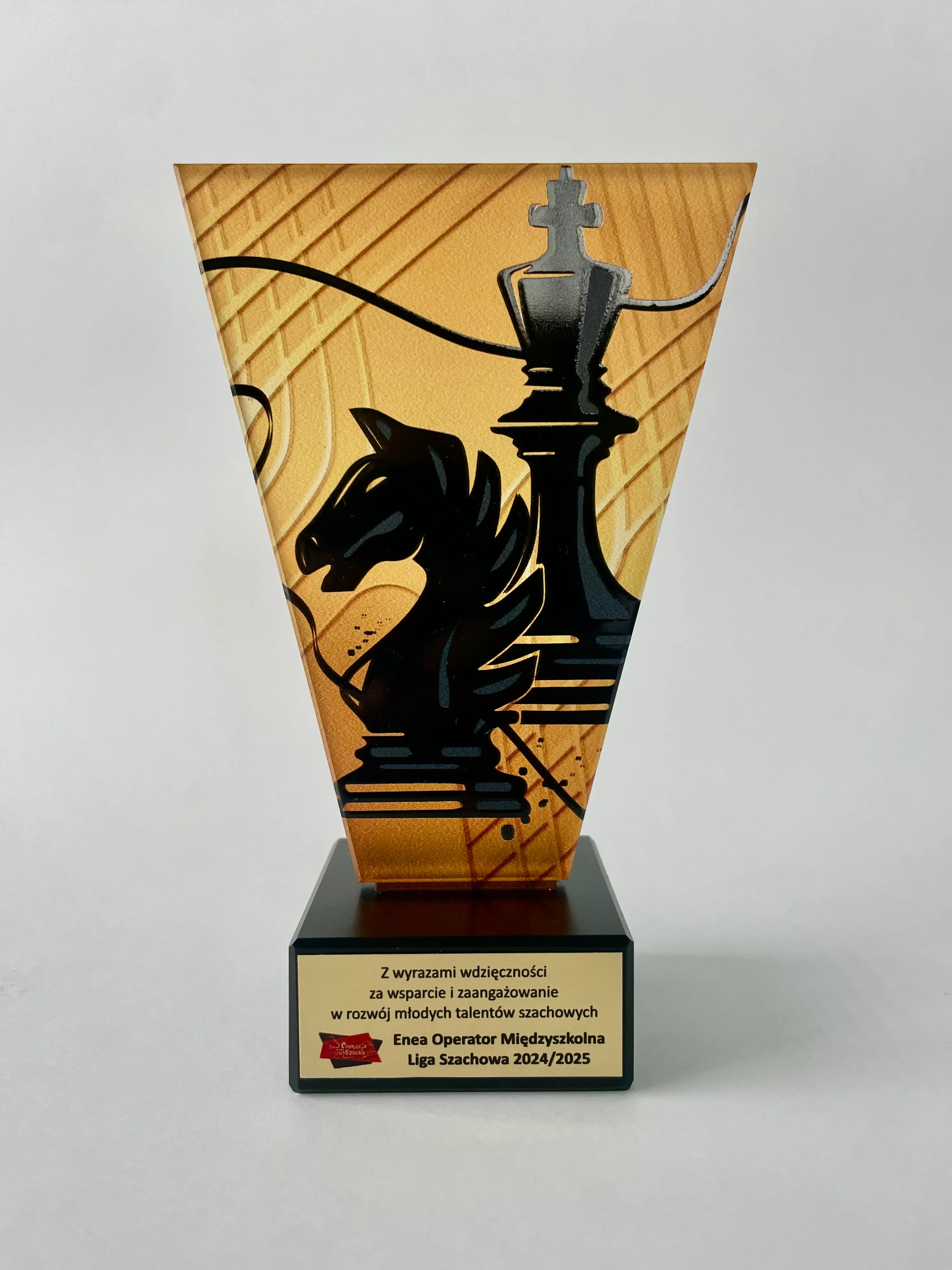 Podziękowania - Enea