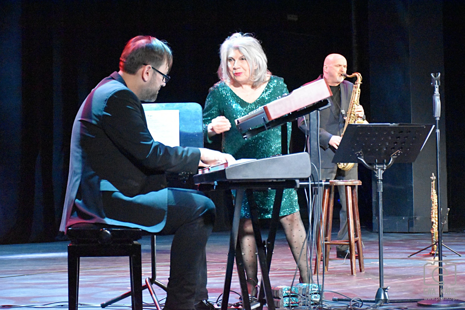 Krystyna Prońko - koncert